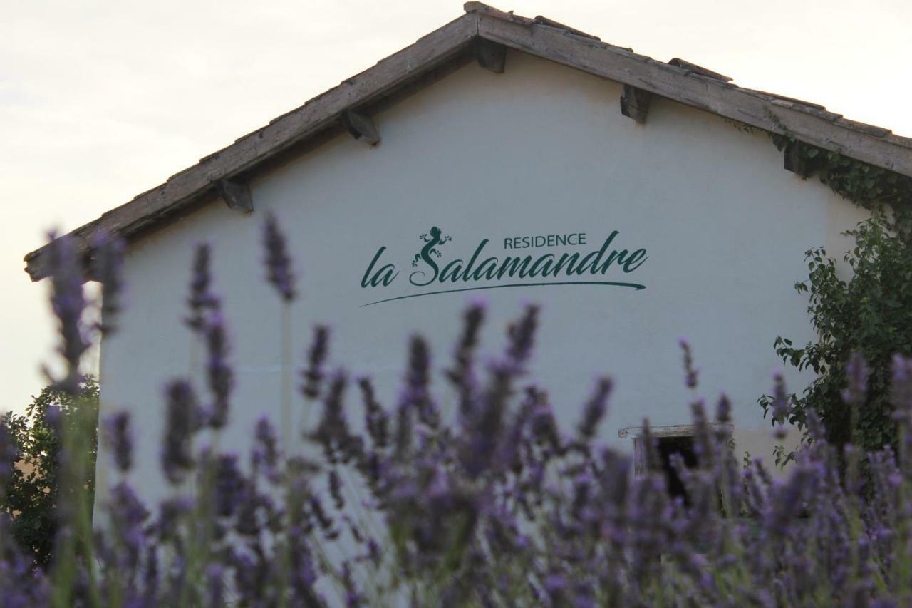 Residence La Salamandre Rabastens Exterior foto